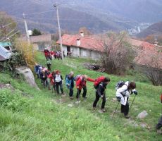 pot nas je vodila naprej proti Sv. Štandrežu