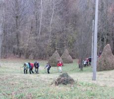 pod cerkvijo so nas pozdravile kope sena