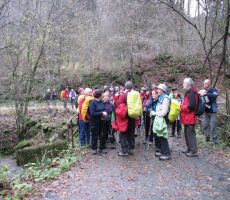 pod vasjo Čarni varh smo prišli na asfaltno pot