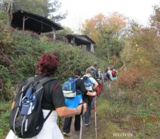 zavili smo na stezico...