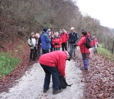 Polde pa nam je imel veliko povedati...