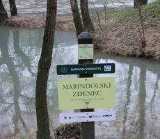 nadaljevali smo naprej mimo izvirov, ki jim pravijo zdenci...