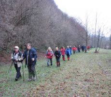 in travniki ob bregovih Kolpe...