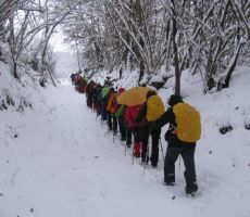 Prednovoletno srečanje v Stahovici - sobota, 8. december 2012