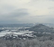 Prednovoletno srečanje 2012