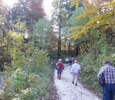 »Feldban«  Po trasi nekdanje ozkotirne poljske železnice - četrtek, 29. oktober 2009