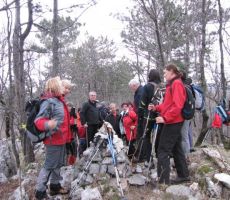 drugi vrh S553m visoki sv. Danijel (Štanjel)