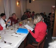 Anica pa poročilo o financah 