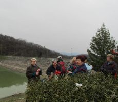 on zadrževalniku Vogršček