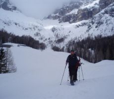 pot nazaj v dolino...