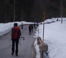 s krpljami po asfaltu