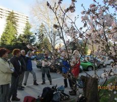 TEMATSKA POT PO KOBARIŠKEM BLATU, 14.04.2013