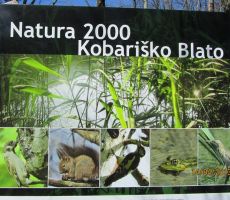 prišli smo v Naturo 2000