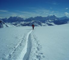 kot v planinskem raju