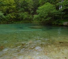 izvir Kamniške Bistrice