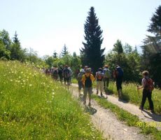 Po obrobju nad Gornjesavsko dolino: Kranjska Gora–Srednji vrh–Log-Vršič - četrtek, 20. junij 2013