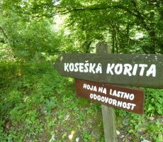 Koseška korita