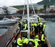 Husavik - opazovanje kitov