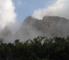 megle nad Lepo glavo so se dvigovale