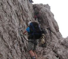 a pot je lepo zavarovana...