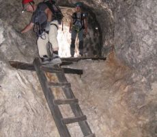 tudi v njemu je potrebno malo telovadbe...