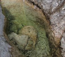 in občudovali slapiče in tolmunčke...