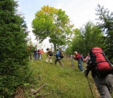 in jo ubrali žšez travnike proti cilju...