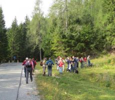 nekje pa peljala pot tudi po cesti