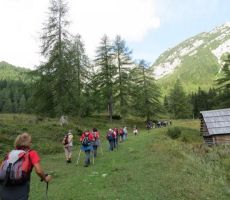 na poti proti Vršiču...