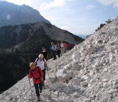 Leon, Darij, Ruža in Darinka so peljali na Sleme... 