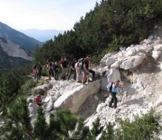 bila jih je kar lepa četica...