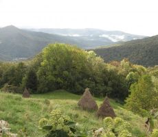 proti Gorenji vasi, kjer so pod vasjo kope sena...