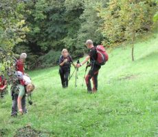 prilegla so se domača jabolka, ki so ležala po tleh in čakala lastnika, da jih pobere...