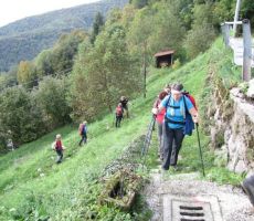 mi pa vztrajno proti vasici...