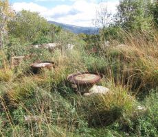 in vidne povezave med njimi...