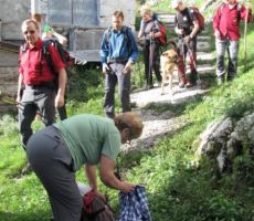 in vsakega posebej ovohal...