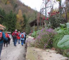Po poteh okoli Sevnice, seniorski izlet - četrtek, 14. november 2013 