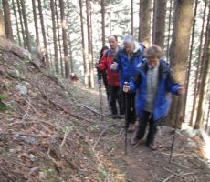 in zavili v smrekov gozd...