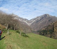 do Trtnika, v ozadju sta Šoštar, Kobla...