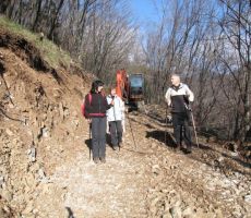 stezice spremenmjena v gozdno cesto...