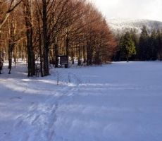 najhitrejši so se odpravili na prečenje Golakov...