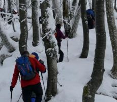 in gaženje proti vrhu...