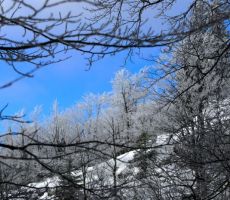 spremljali so jih lepi zimski prizori...