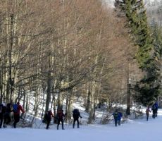 so nadaljevali proti cilju...