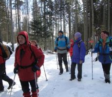 naprej proti Iztokovi koči...