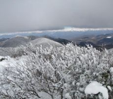 del skupine je nadaljeval proti vrhu...