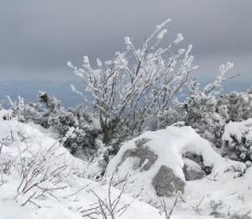 narava pa nam je postrgla z lepimi razgledi...
