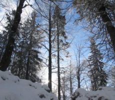 in uživali v zimskih lepotah...