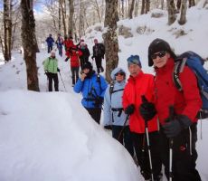 ostali pa so drug za drugim počasi sestopali...