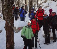 in se bližali koči...